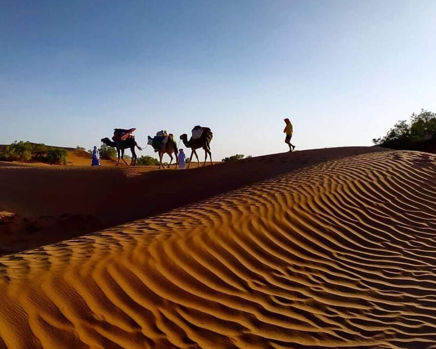 trekking the desert