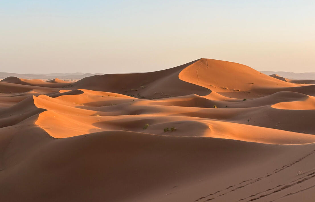 desert landscape